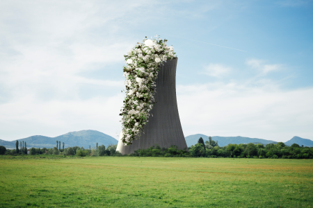 Phytoremédiation : Le Potentiel des Plantes pour la Dépollution de notre Environnement